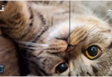 موقع رفع جودة الصور